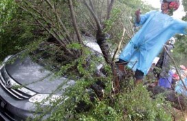 Hindari Jatuh Korban, Pemkot Tangerang Pangkas Pohon